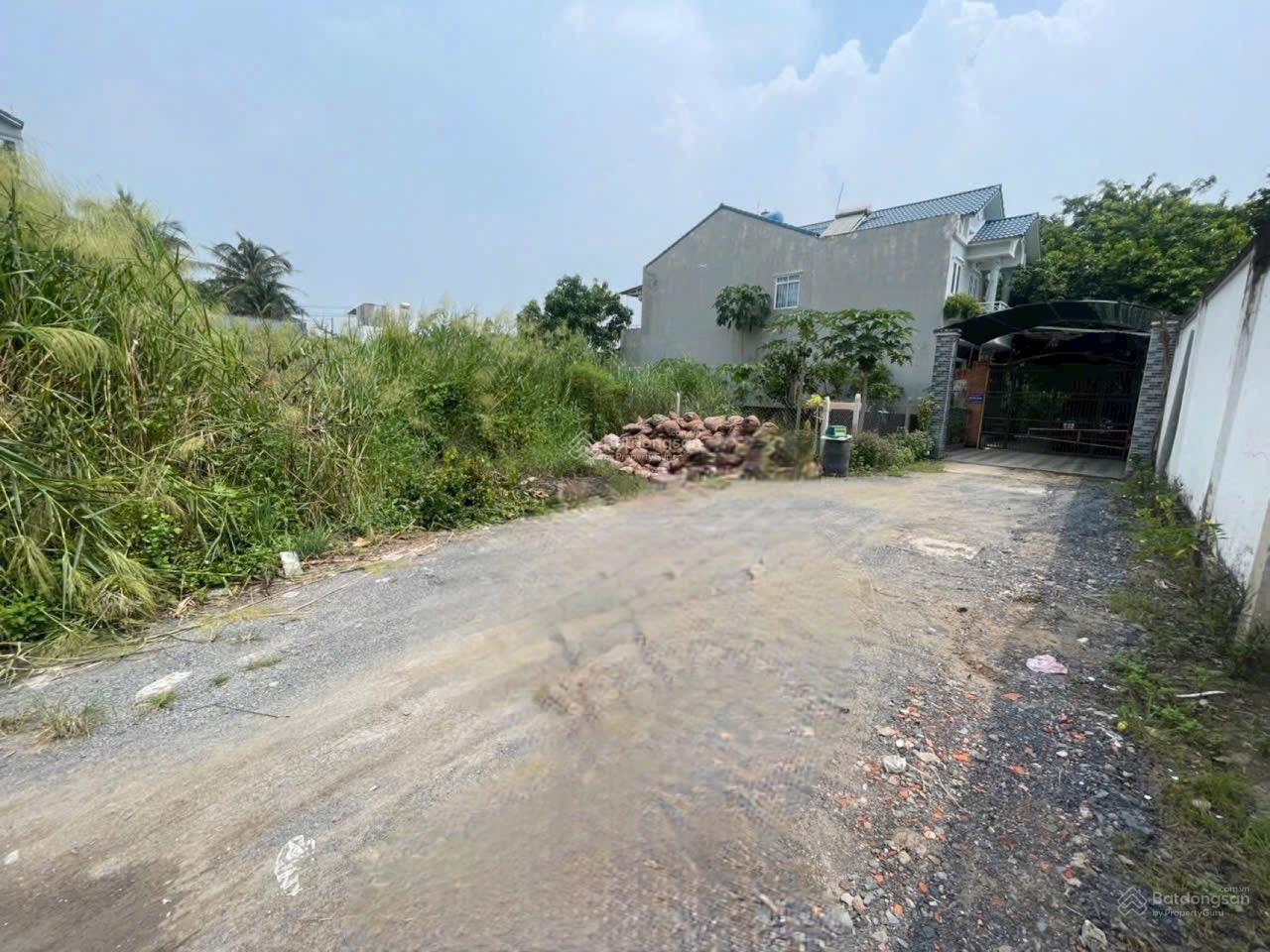 Đất thổ 124m2 2 mặt tiền trước sau, đường Bông Văn Dĩa, Tân Kiên