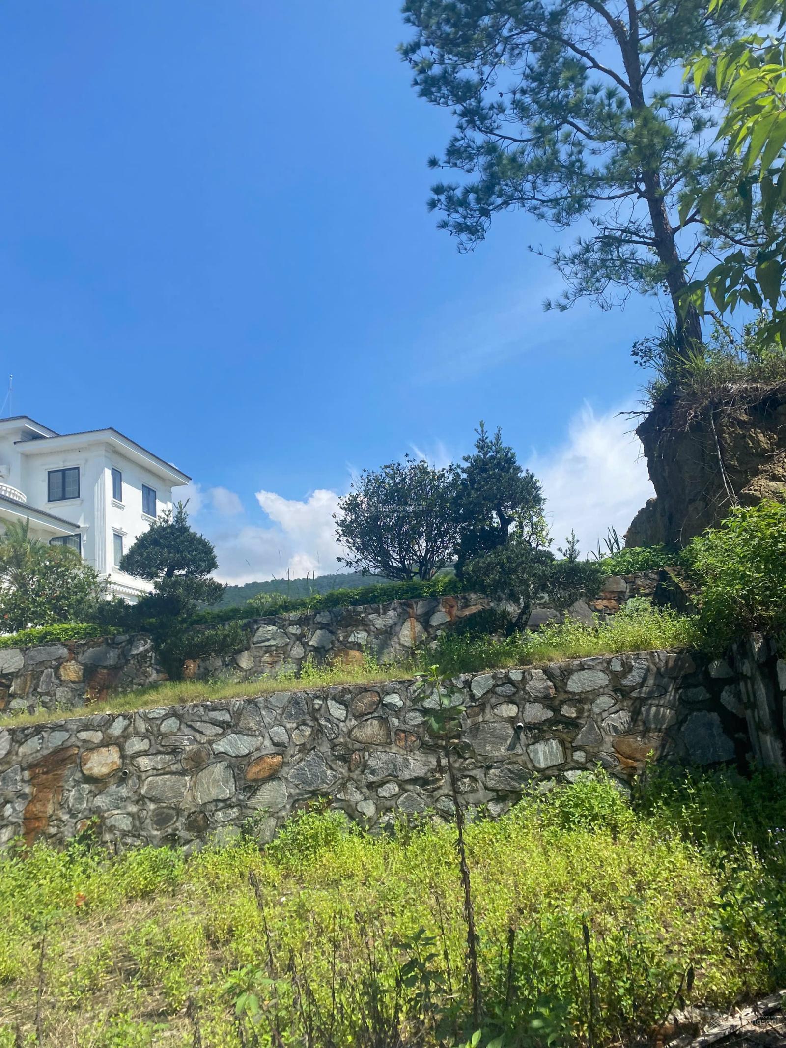 Bán ô đất đẹp tại khu sân golf Tam Đảo. Diện tích 900m2 full thổ cư tự do xây dựng