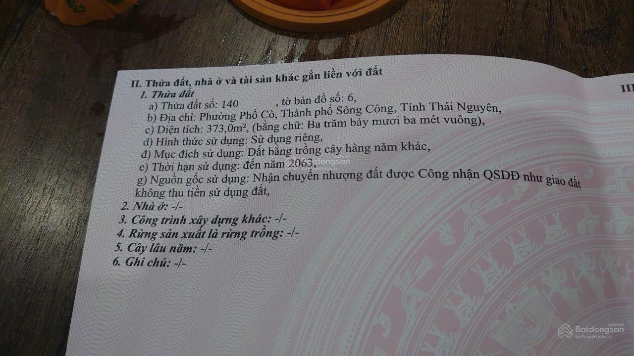 Chính chủ bán đất phường Phố Cò Sông Công giá tốt