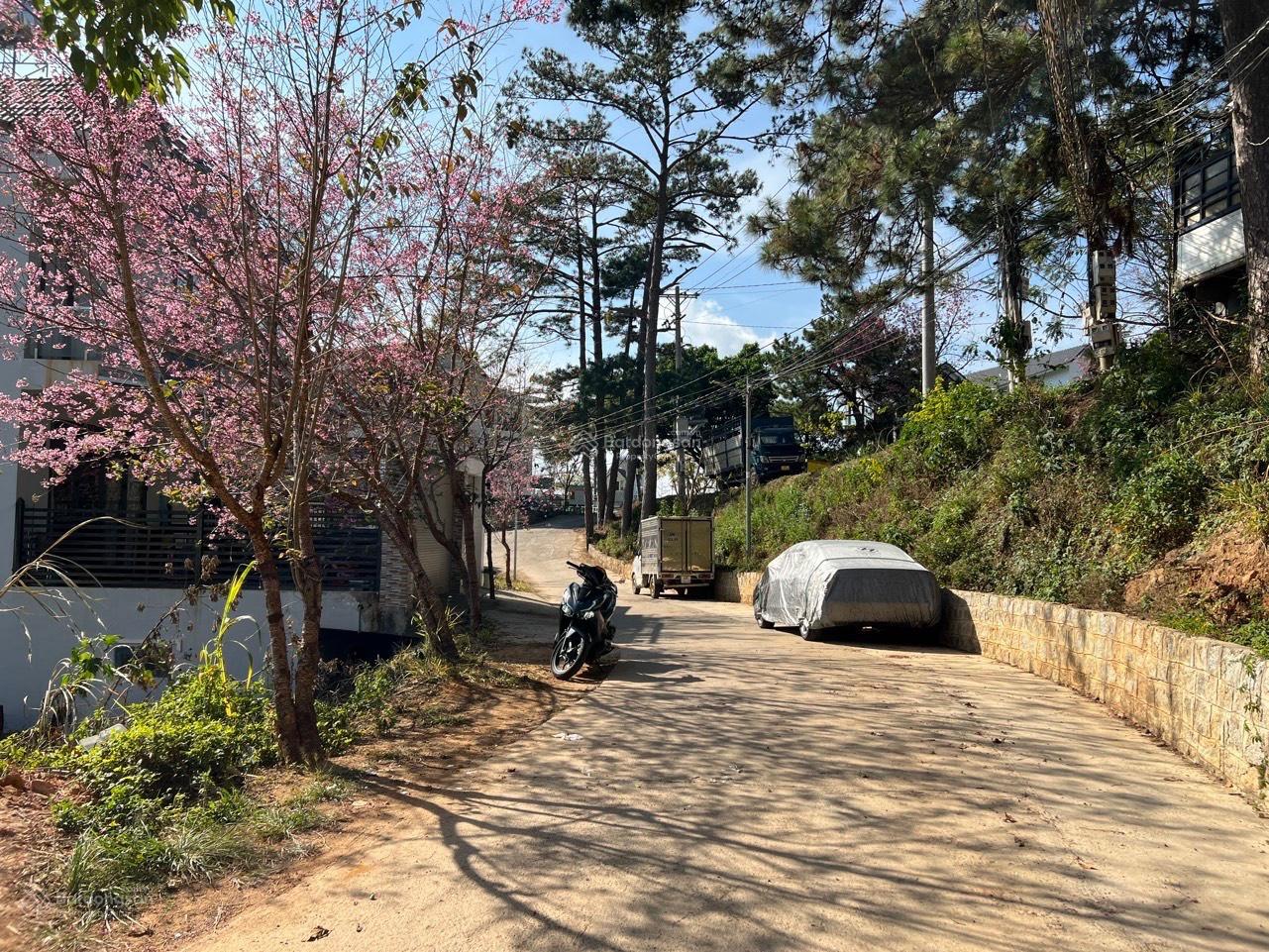 Bán đất view rừng thông nhìn điện gió khu vực Khe Sanh, Đà Lạt, Lâm Đồng