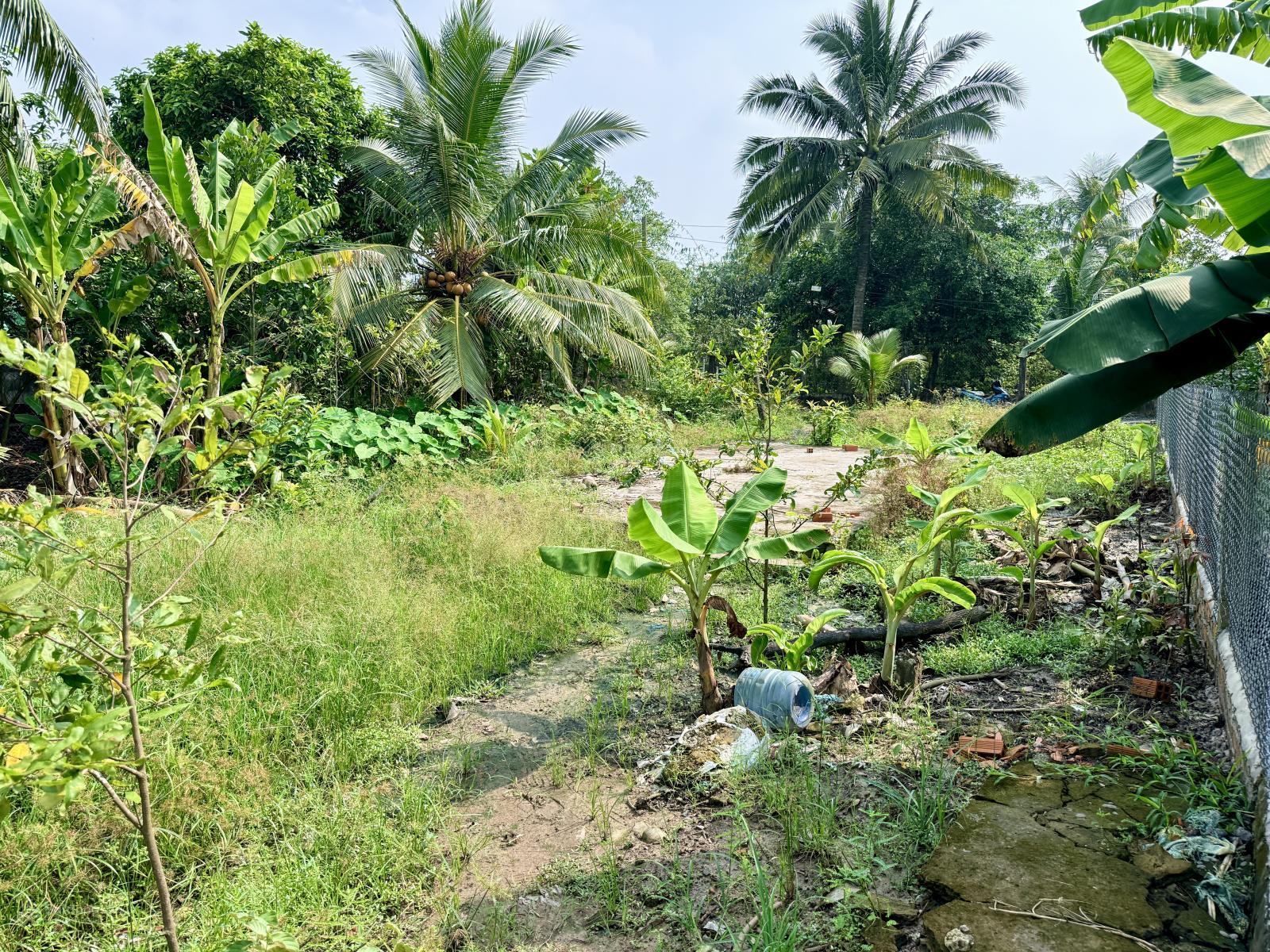 399tr - nền 5x27 full thổ cư full nền nền cao hơn mặt Đ. Giá 399tr. Chọn sổ ko phát sinh