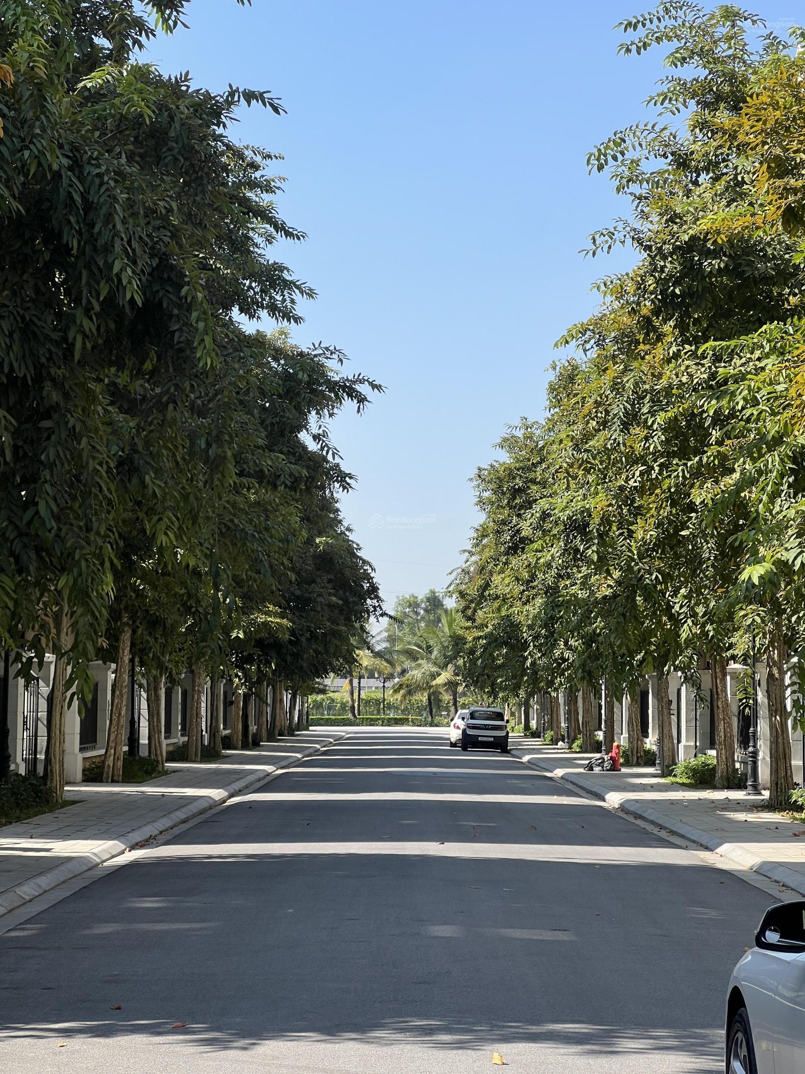 BÁN TỨ LẬP ĐẢO DỪA 120M SẴN SỔ