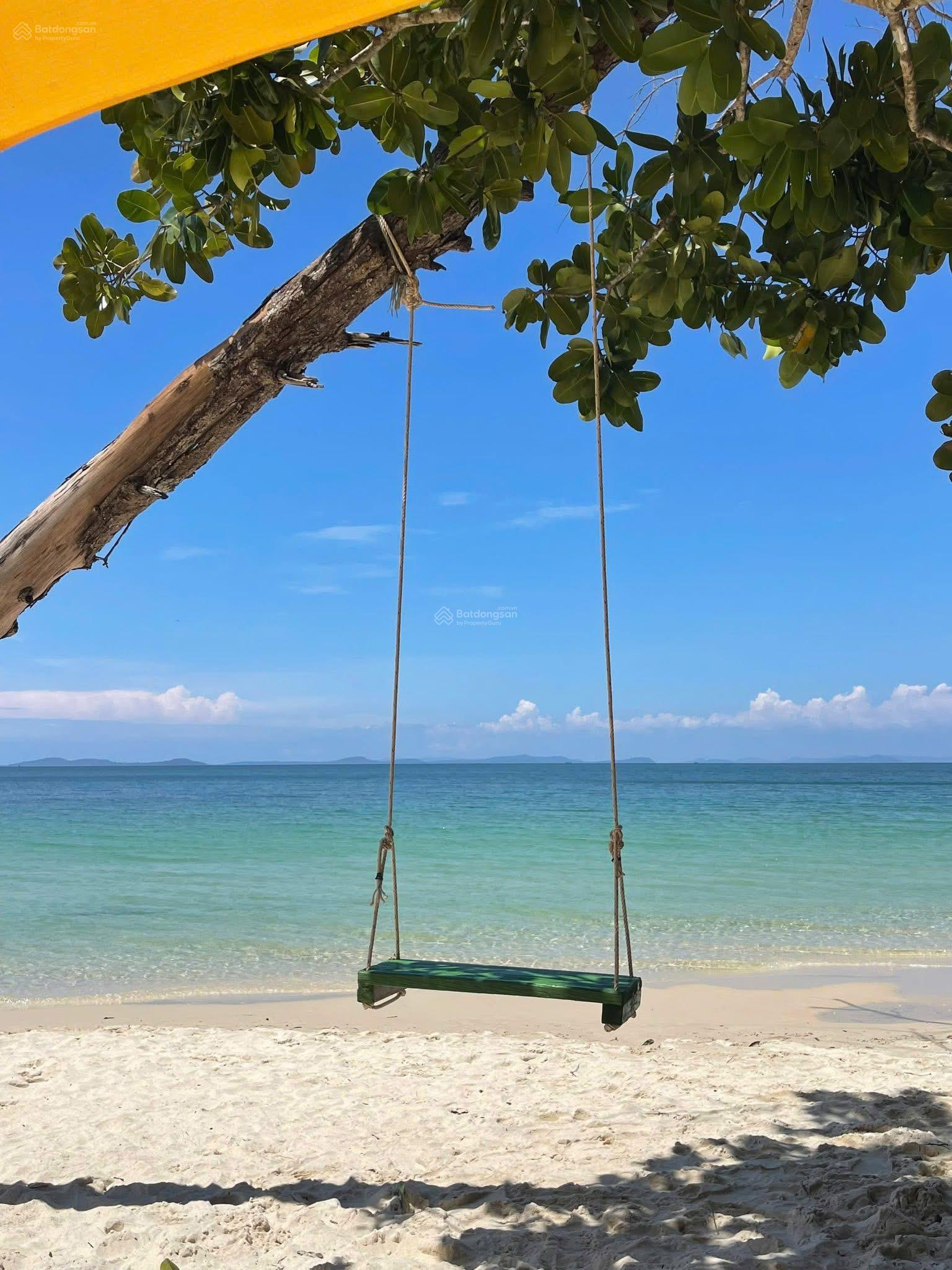 Mảnh vườn 2500m2 có 37 gốc sầu riêng hơn 4 năm rất đẹp