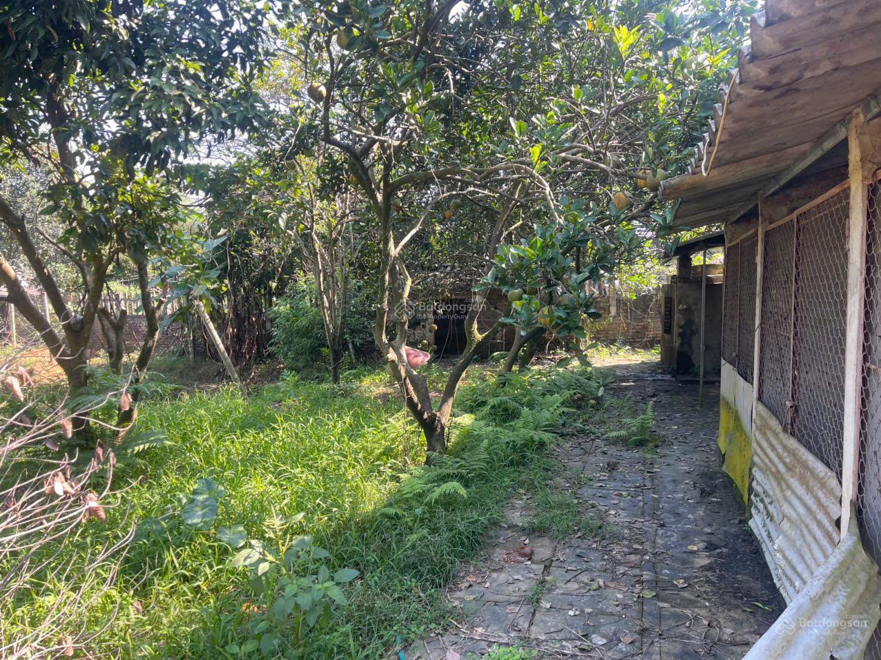 Bán 1460m² đất thổ cư có nhà sẵn ao & suối bao quanh, siêu phẩm nghỉ dưỡng Lương Sơn