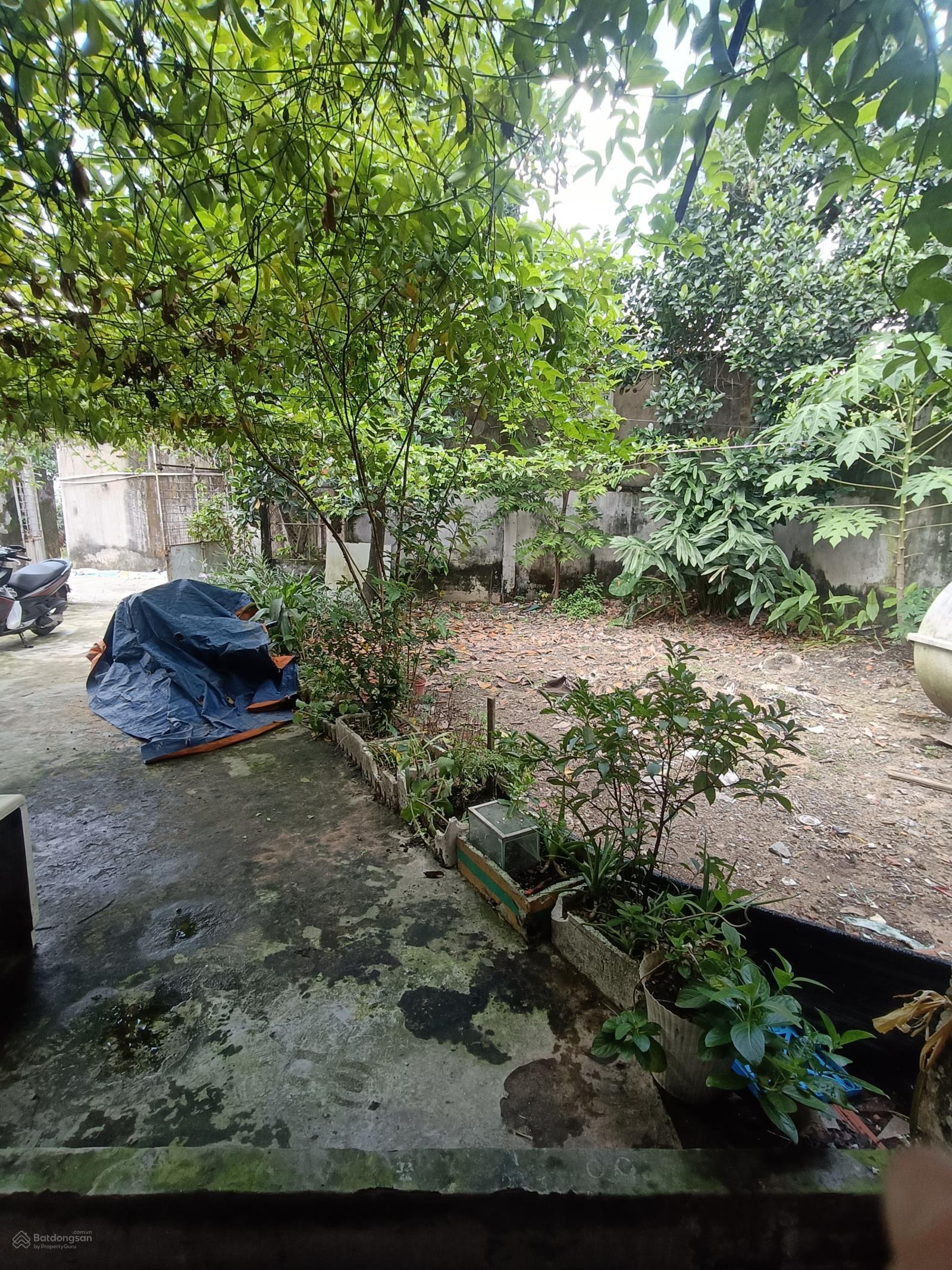 Bán nhà 266m2 Trần Văn Mười, Hóc Môn, hẻm xe hơi chỉ 5,4 tỷ Bán nhà 266m2 Trần Văn Mười, Hóc Môn, hẻm xe hơi chỉ 5,4 tỷ