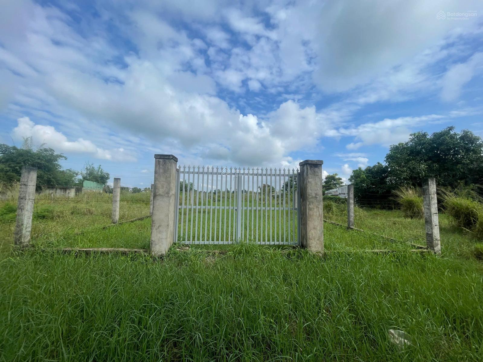 Giảm 300tr, cần bán gấp mảnh đất thổ, mặt tiền đường lớn, sổ riêng, giá rẻ