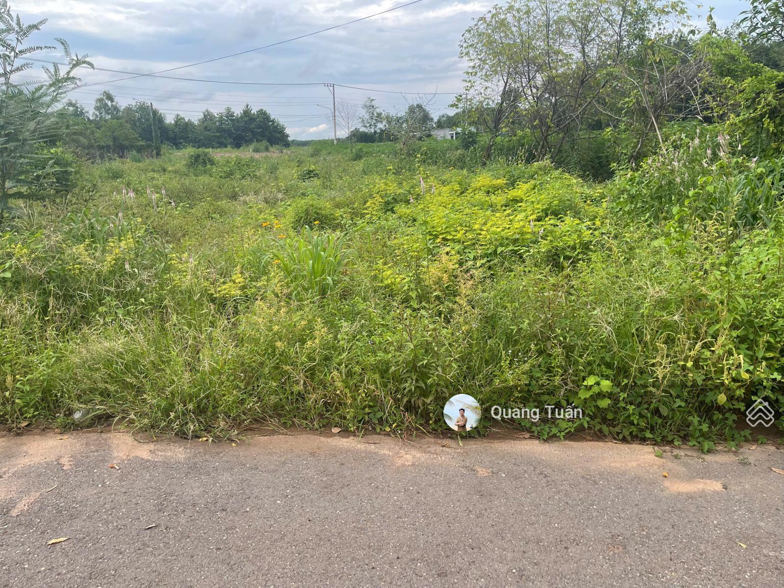 Ngộp bank cần ra gấp lô đất đẹp cạnh UBND Tân Hiệp 530 triệu, khu dân cư hiện hữu, sổ hồng riêng Ngộp bank cần ra gấp lô đất đẹp cạnh UBND Tân Hiệp 530 triệu, khu dân cư hiện hữu, sổ hồng riêng