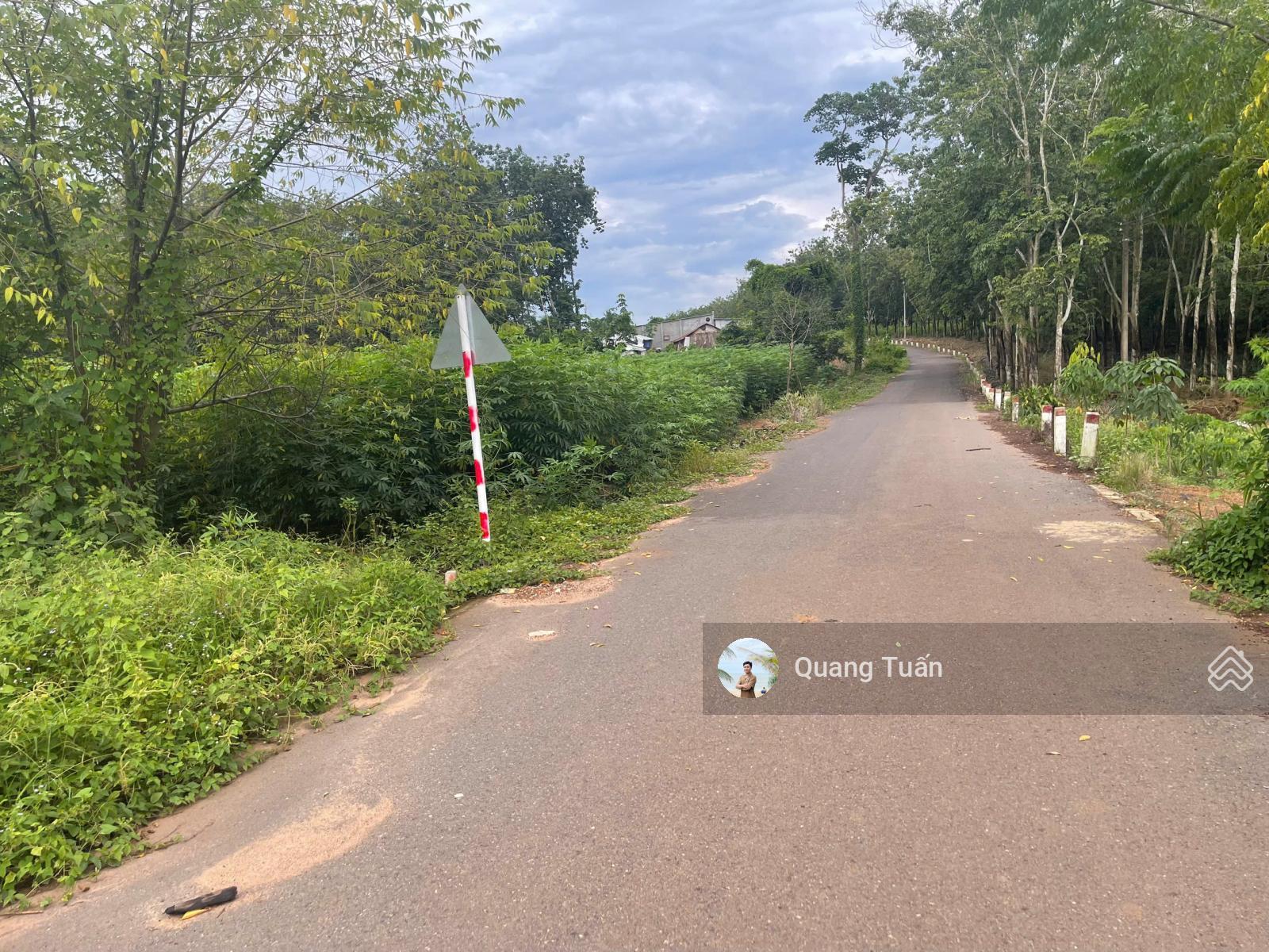 Ngộp bank cần ra gấp lô đất đẹp cạnh UBND Tân Hiệp 530 triệu, khu dân cư hiện hữu, sổ hồng riêng Ngộp bank cần ra gấp lô đất đẹp cạnh UBND Tân Hiệp 530 triệu, khu dân cư hiện hữu, sổ hồng riêng