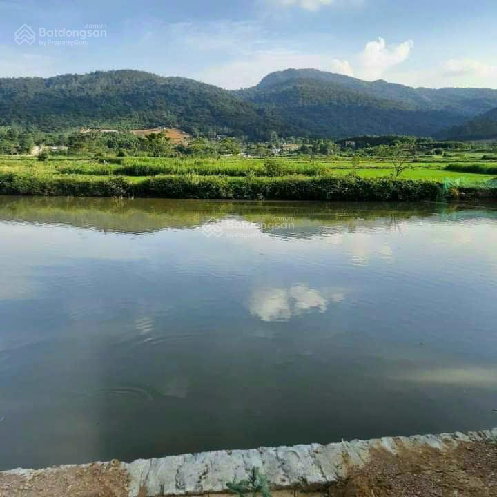 Bán đất tại Xã Yên Bài, Ba Vì, Hà Nội, 5,9 tỷ, 1074m2 trong đó có 100m2 TC Bán đất tại Xã Yên Bài, Ba Vì, Hà Nội, 5,9 tỷ, 1074m2 trong đó có 100m2 TC