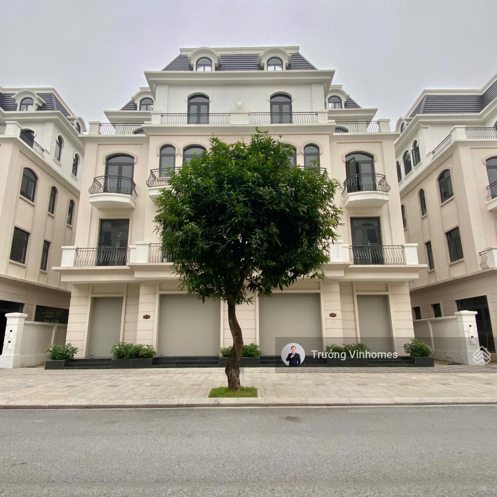 Rẻ nhất còn sót lại! Biệt thự song lập Kinh Đô đường lớn 20m ngay sát quảng trường, cực kì hiếm