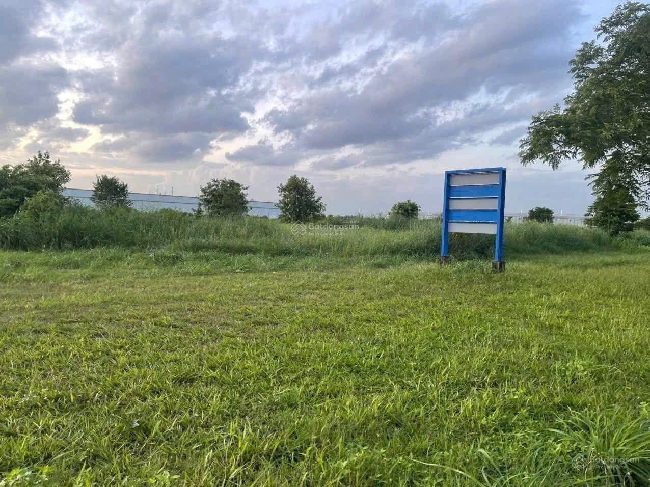 Bán đất KCN Cái Mép, Bà Rịa Vũng Tàu, 9000 - 15000m2, giá 2.5tr/m2 Bán đất KCN Cái Mép, Bà Rịa Vũng Tàu, 9000 - 15000m2, giá 2.5tr/m2