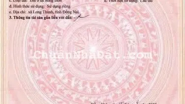 Century đã có sổ cần ra gấp vị trí sổ cầm tay, đã được xây dựng giá chỉ 19tr/1m, Lh: 0933 503 ***