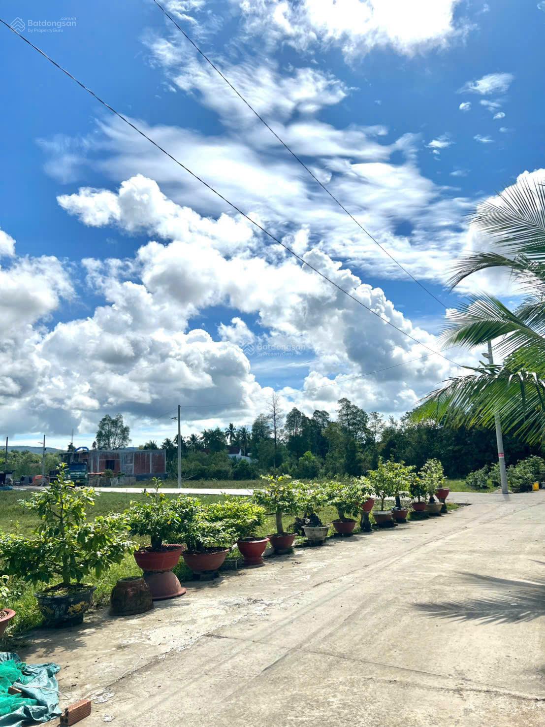 Bán lô góc 600m2 1 xẹc đường Cây Thông Trong, giá cực tốt chỉ 3 tỷ, mặt tiền siêu rộng 22 x 28m