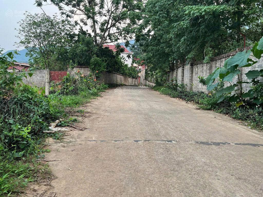 Đất nghỉ dưỡng Minh Quang gần đường Tỉnh Lộ, gần hồ lớn tự nhiên, view núi, view sông Đà thoáng đẹp