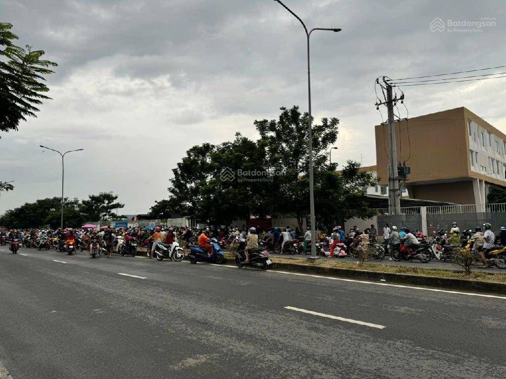 Bán 3 lô đất lúa liền kề diện tích mỗi lô 600m2, chỉ 4,99 tỷ, ngay Bà Điểm Phan Văn Đối Bán 3 lô đất lúa liền kề diện tích mỗi lô 600m2, chỉ 4,99 tỷ, ngay Bà Điểm Phan Văn Đối