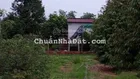Cần bán gấp nhà vườn tại Bình Dương