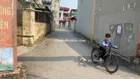 Rẻ nhất Đa Tốn, Bán 50m đất, MT 4m, chỉ 4.2 tỷ