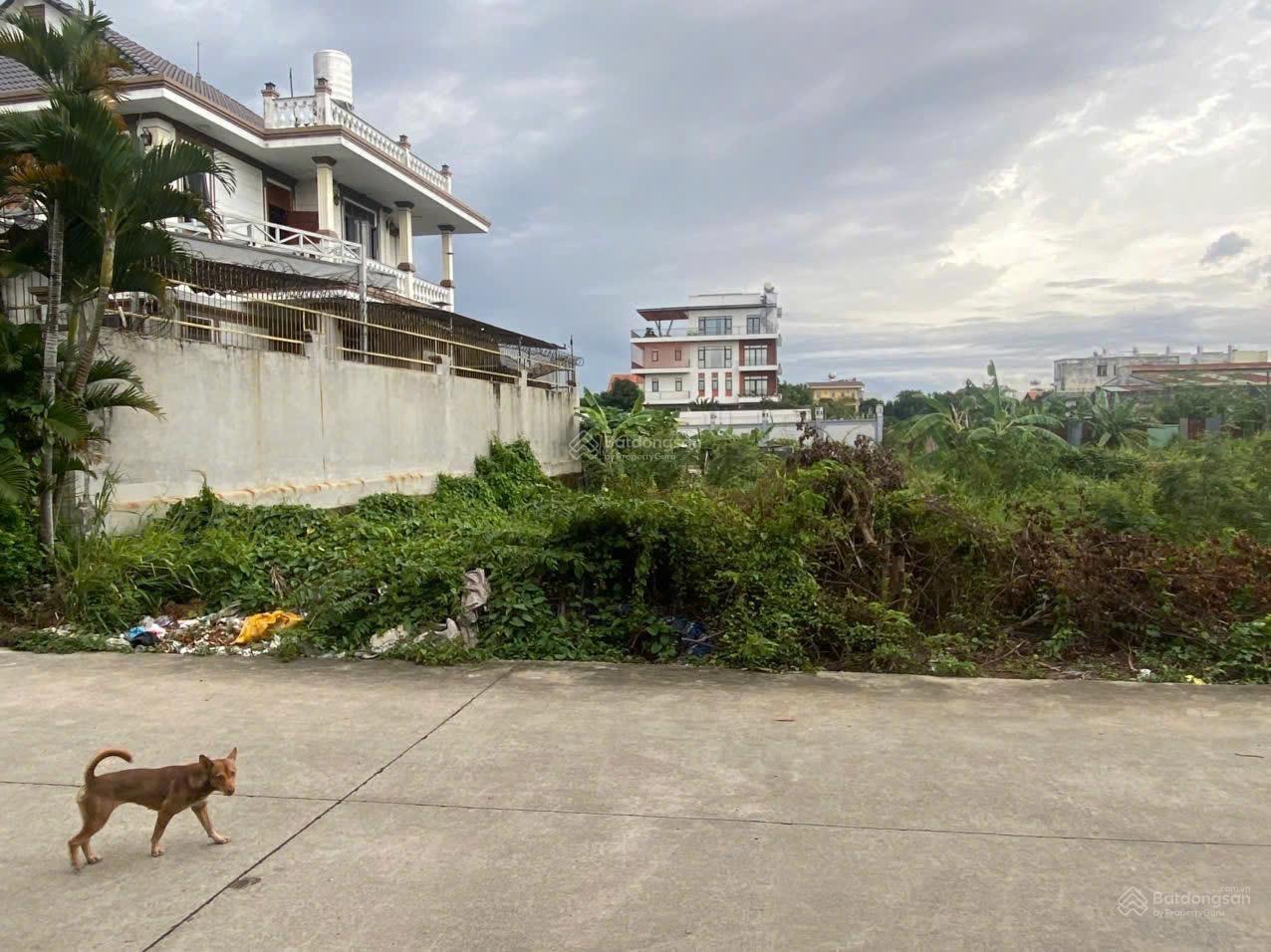 Bán lô đất sát Vạn Phúc diện tích lớn 1000m2 (25 x 40) giá tốt hơn 29.9 tỉ còn thương lượng