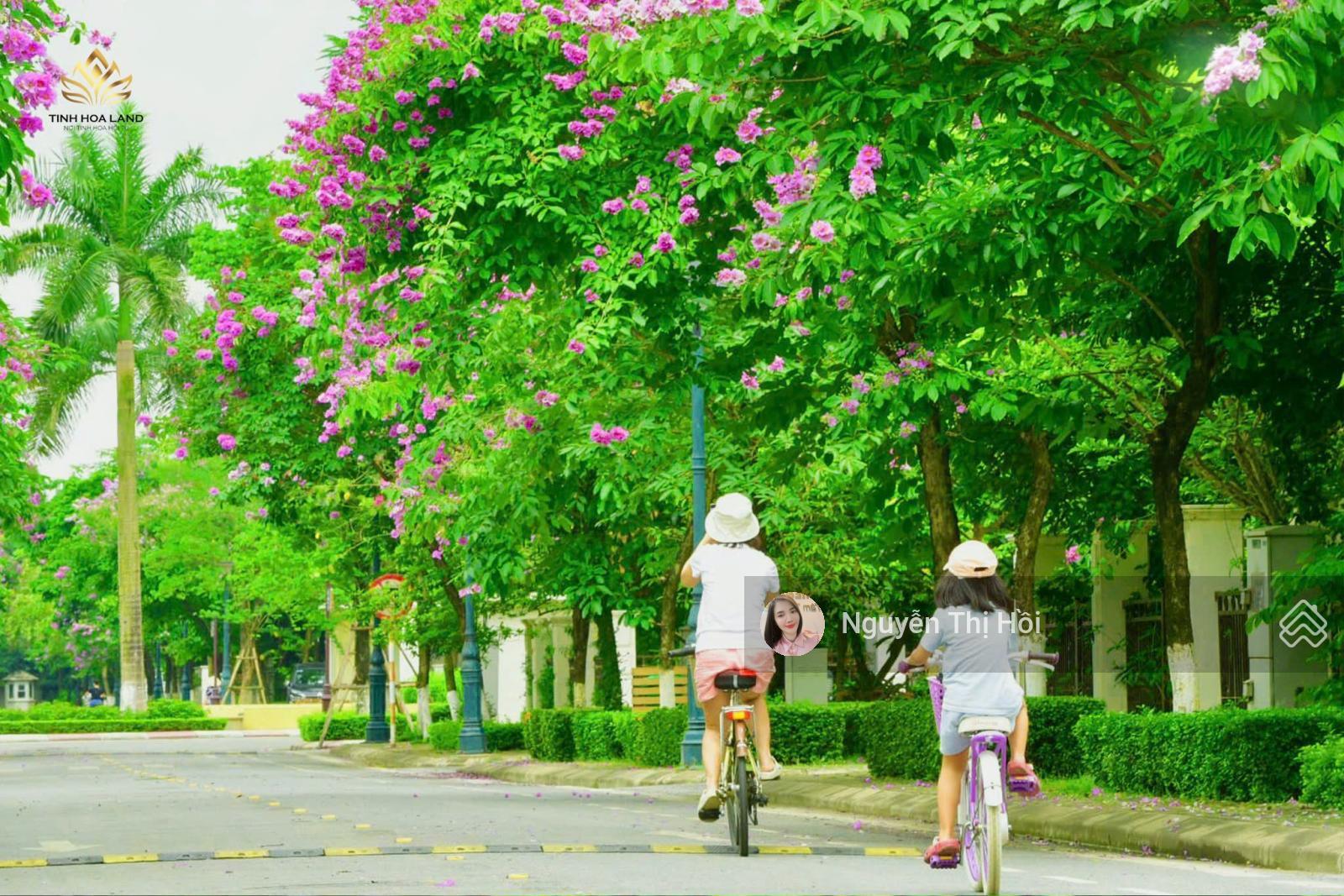 [Home&Land] Tổng hợp quỹ căn Liền kề nhà đẹp - giá tốt tại Splendora ( Mailand City Hanoi)