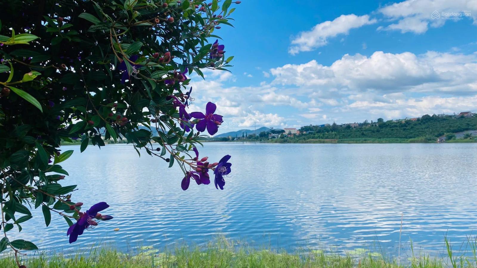 Bán đất hồ Phúc Thọ Lâm Hà Lâm Đồng giá tốt