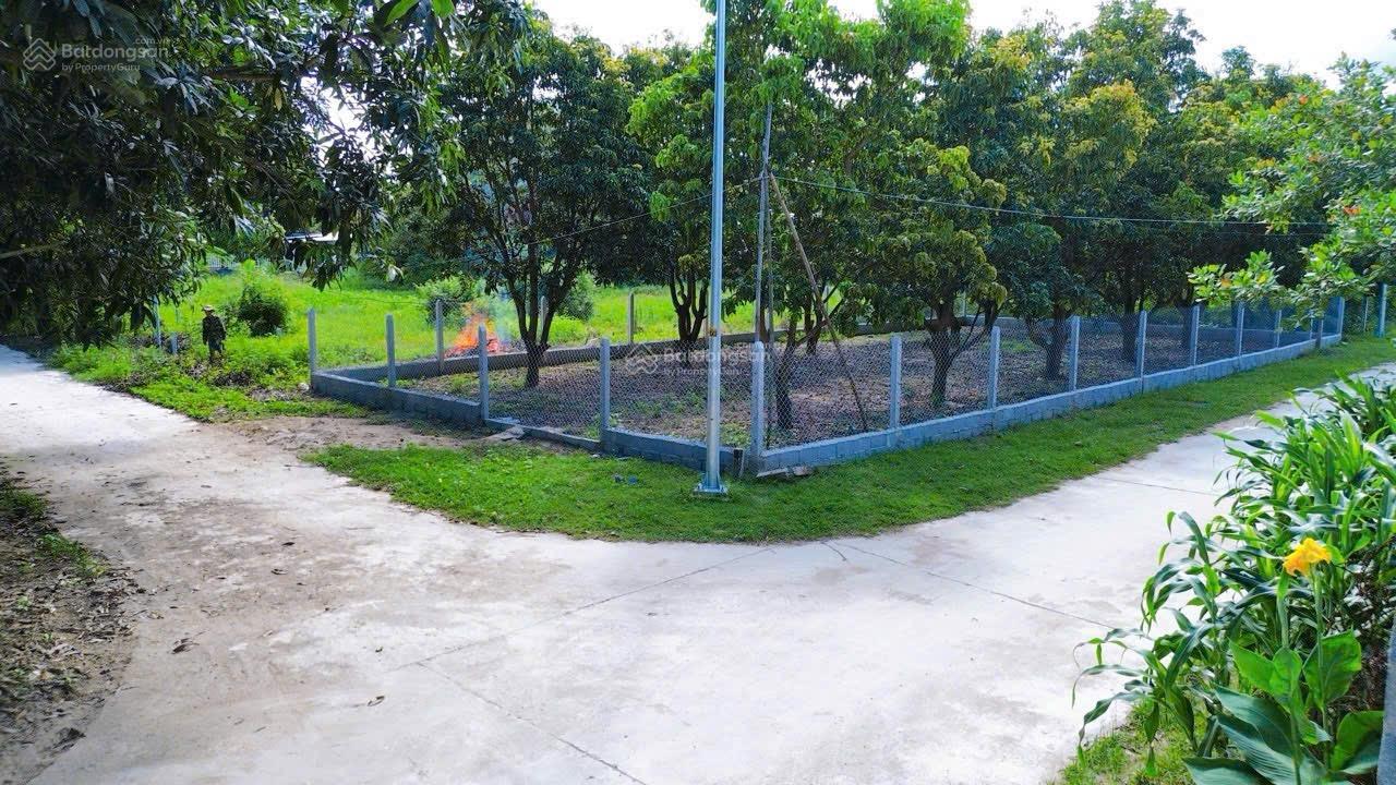 Cam Hiệp Nam, Bàn Cờ, full thổ không dính quy hoạch