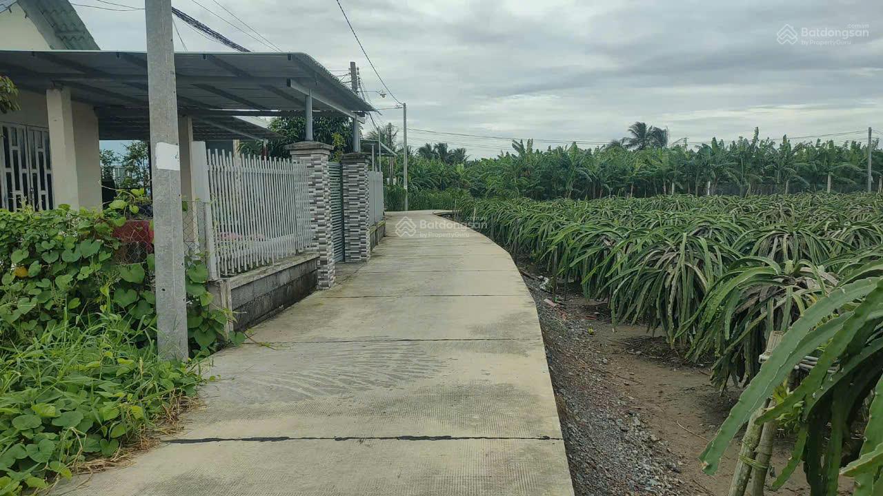 Bán lô đất 6m x 26m full thổ cư 100% đường nhánh ra TL827 khu phố Bình Nam Phường Tân An, TP.Tân An