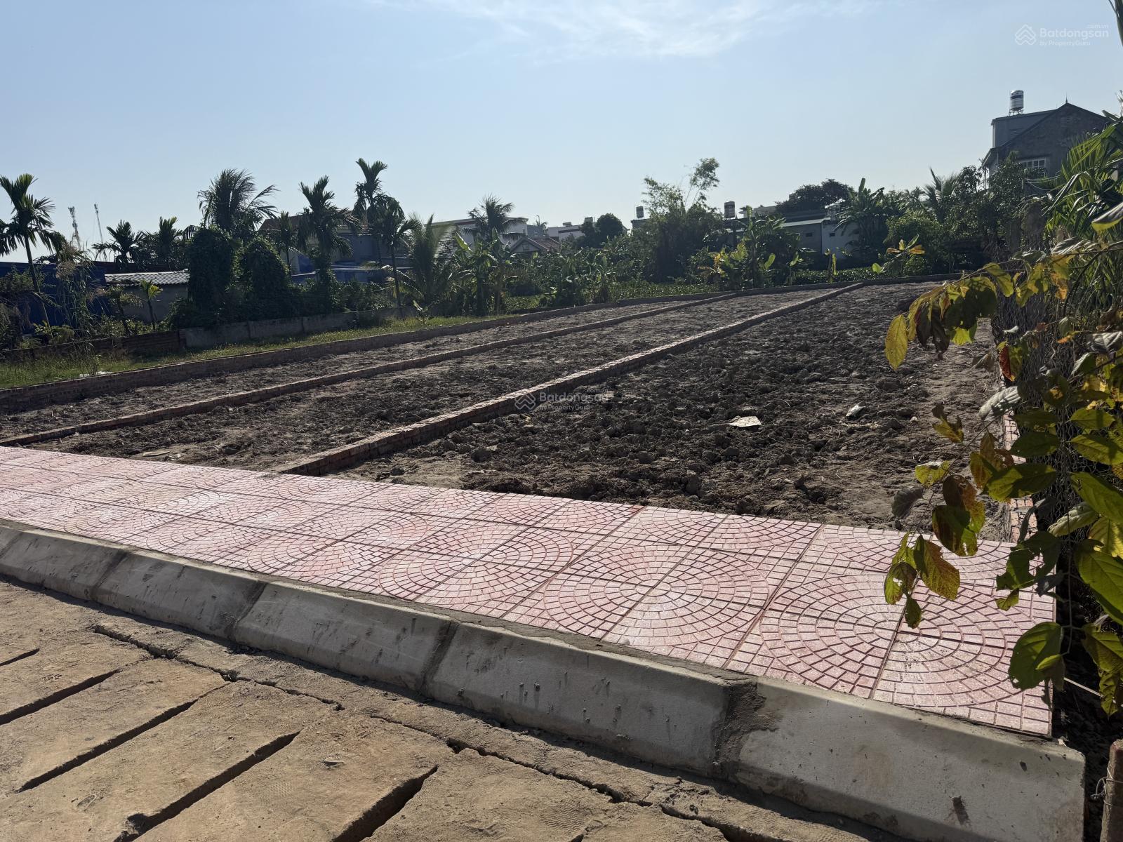 F0 bao bìa tại xã An Thọ, An Lão