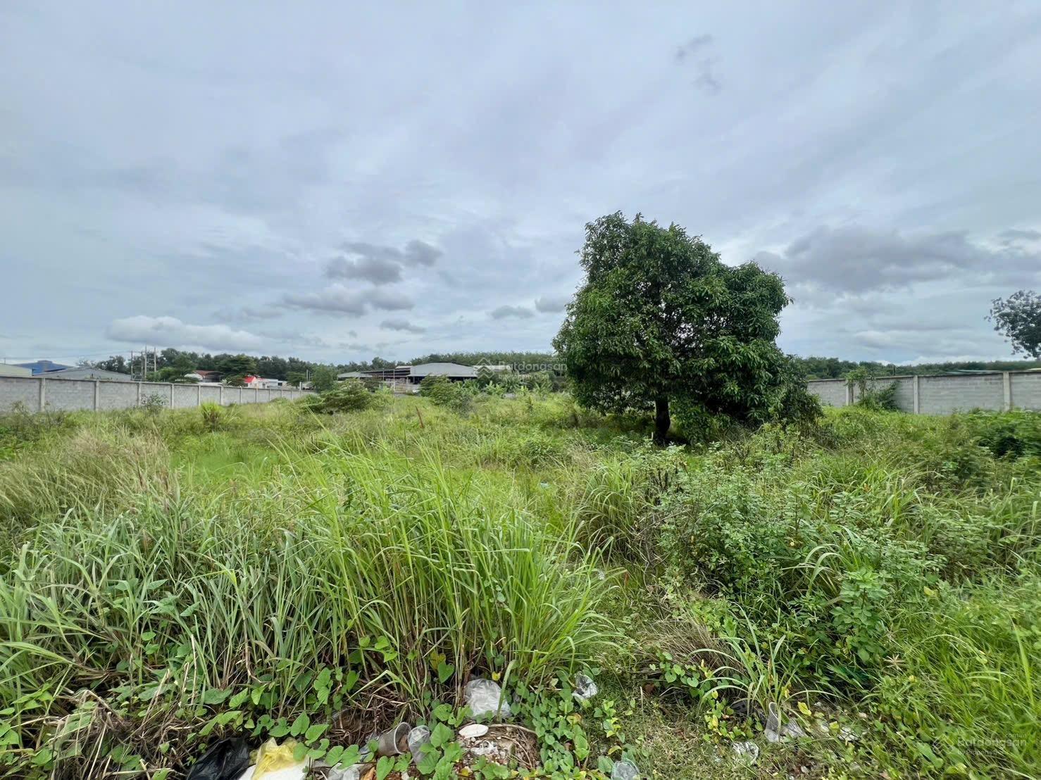 Đất SKC Quốc Lộ 13, vị trí đẹp thích hợp kho, xưởng. Giá rẻ. 0933 292 *** Đất SKC Quốc Lộ 13, vị trí đẹp thích hợp kho, xưởng. Giá rẻ. 0933 292 ***