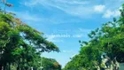 Bán đất nền dự án tại Phú Xuân Vạn Phát Hưng, 57 triệu / m2, 200m2, giá siêu hời
