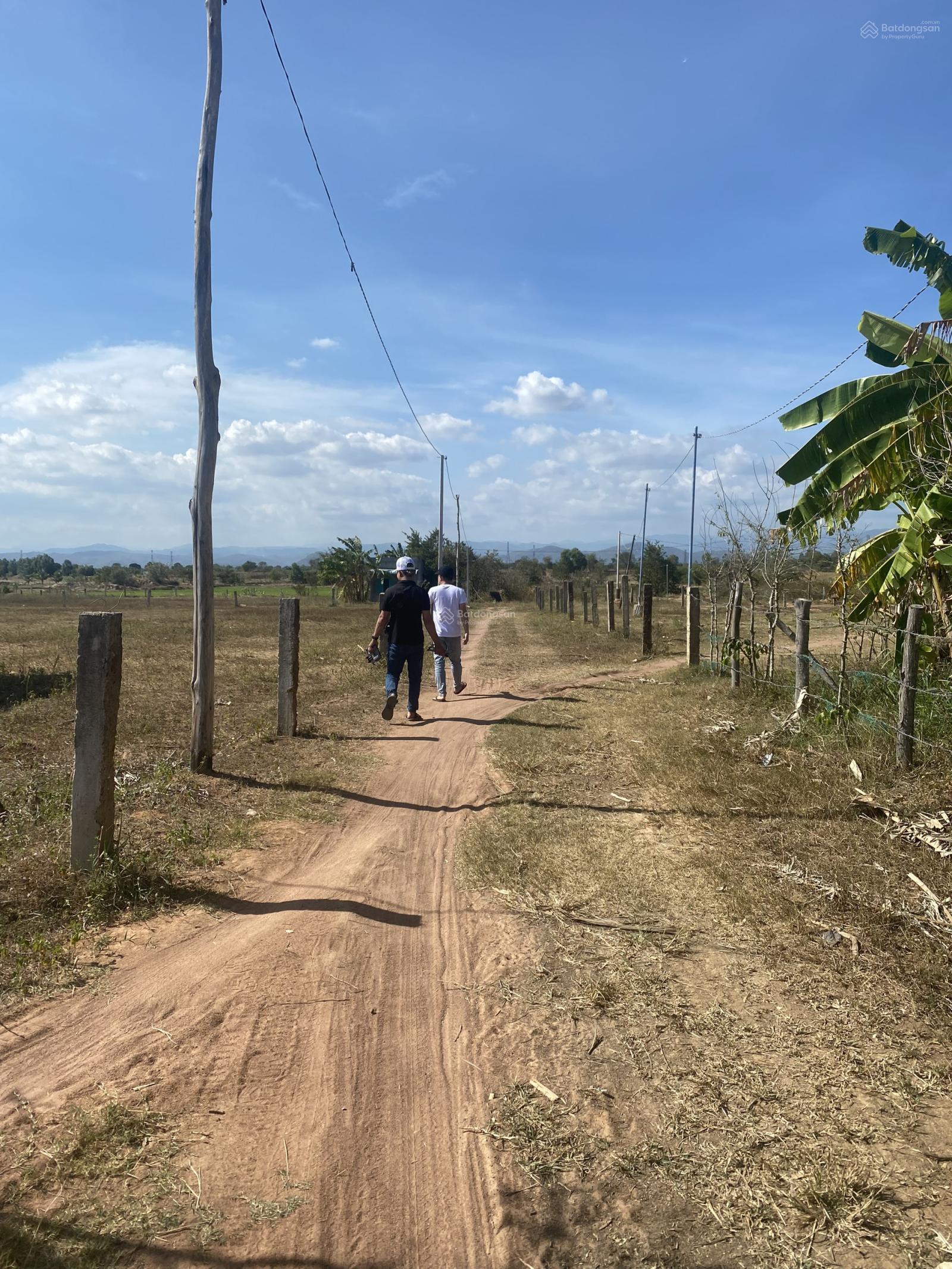 Bán 1364m2 đất vườn Hồng Liêm 359tr, cách QL1A 800m, mặt tiền 17m đường ô tô tận nơi Lh 0938 677 ***