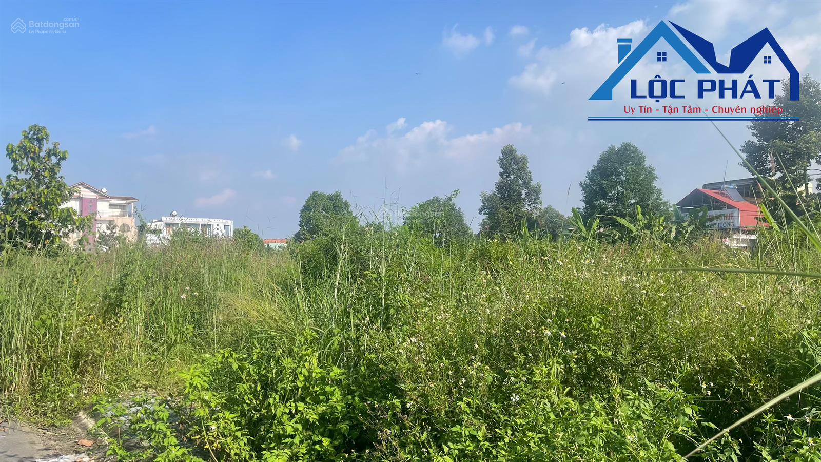 Bán đất biệt thự 1020m2 xã An Phước, Đồng Nai giá chỉ 8 tỷ, có 24m mặt tiền