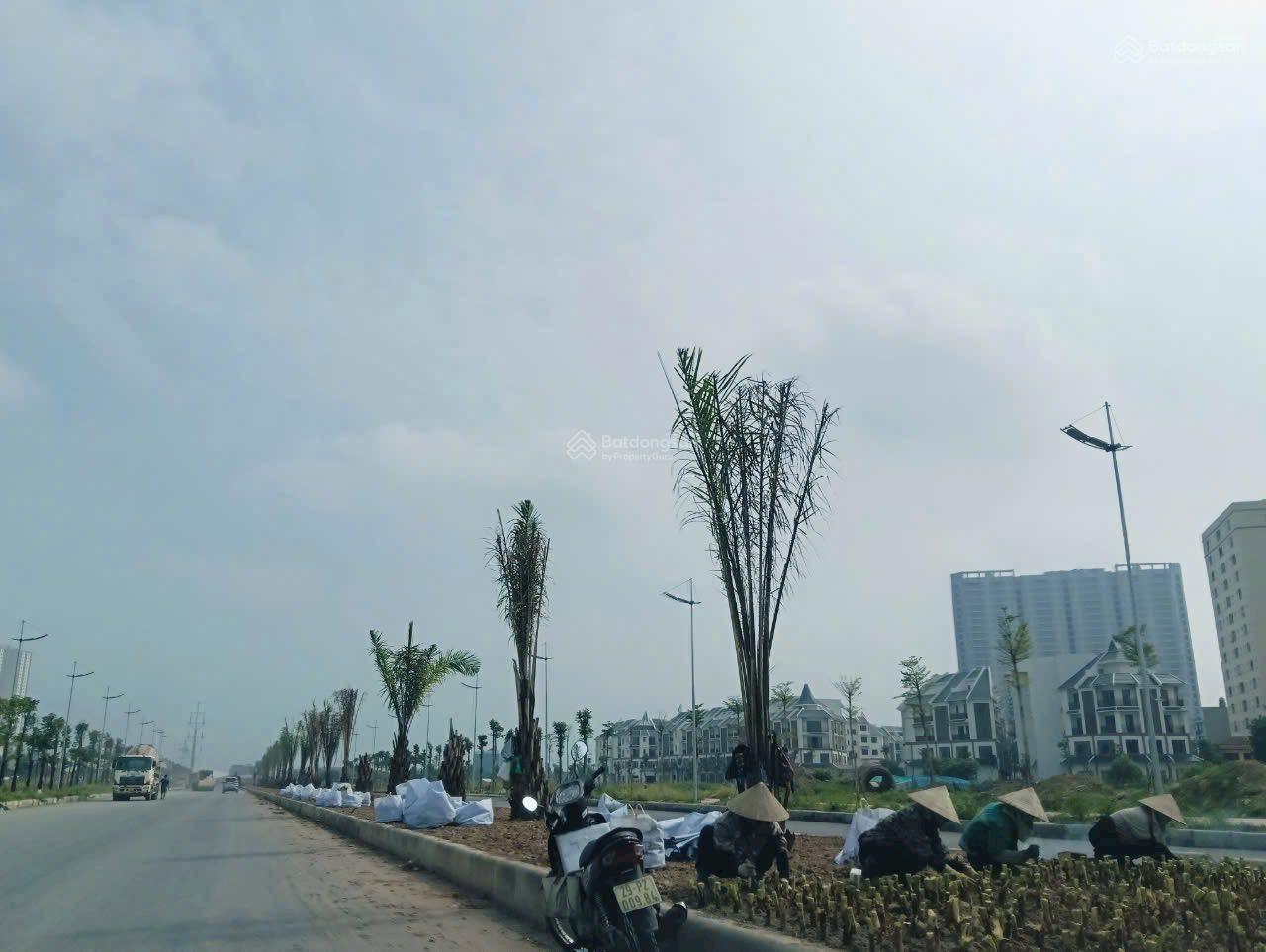 Bán đất phân lô đường vanh đai 3.5 Di Trạch Hoài Đức 115m chỉ 21 tỷ