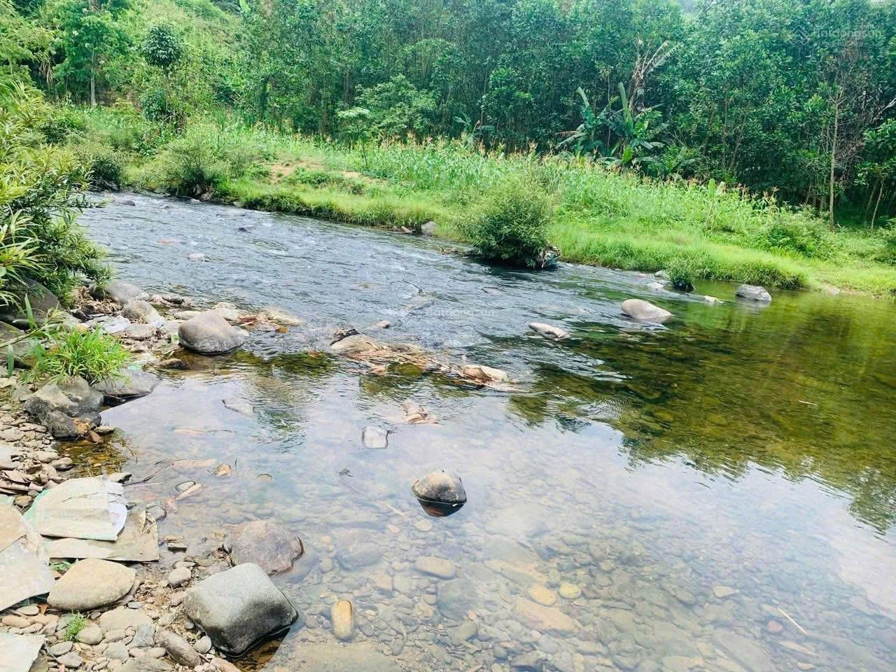 Bán đất vườn view suối Hòa Vang. Cách TT TP 15km.
