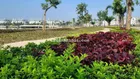 Bán nhanh 64,5 m2 dịch vụ TL9, sát kdt Hinode royal park, mt 5m giá 172tr/m. Lh 0966 675 ***