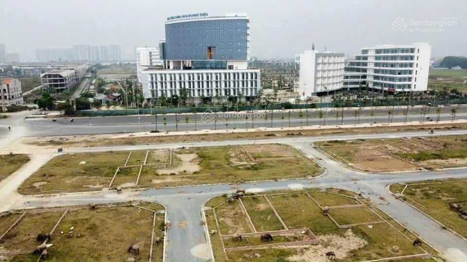 Cực ngon! Bán đất dịch vụ An Thượng, An Khánh. Đường hè 8m. DT 50m2. Ở, KD, VP, cty đỉnh