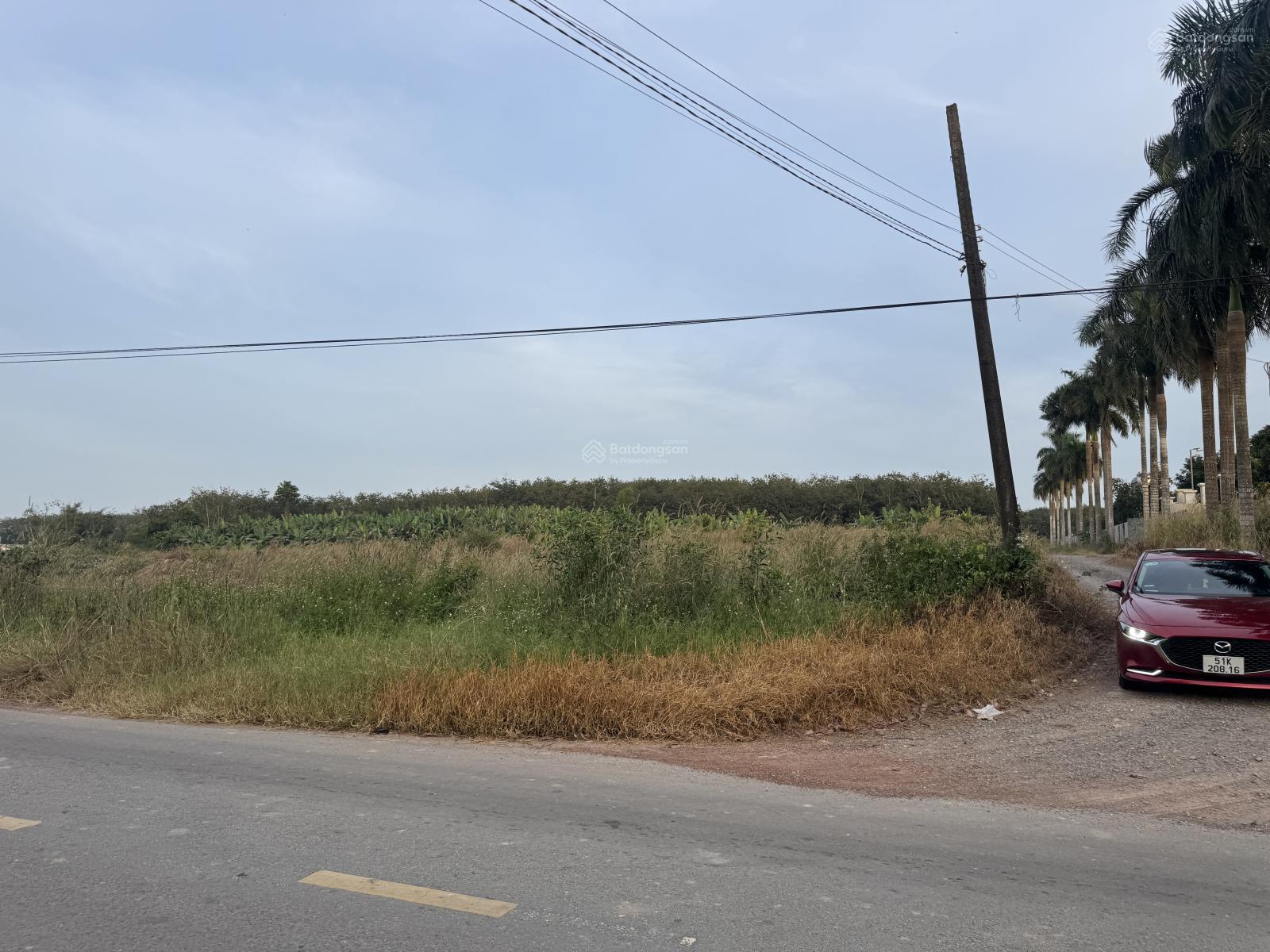 Cần bán đất DH619 thổ cư giá tốt Cần bán đất DH619 thổ cư giá tốt