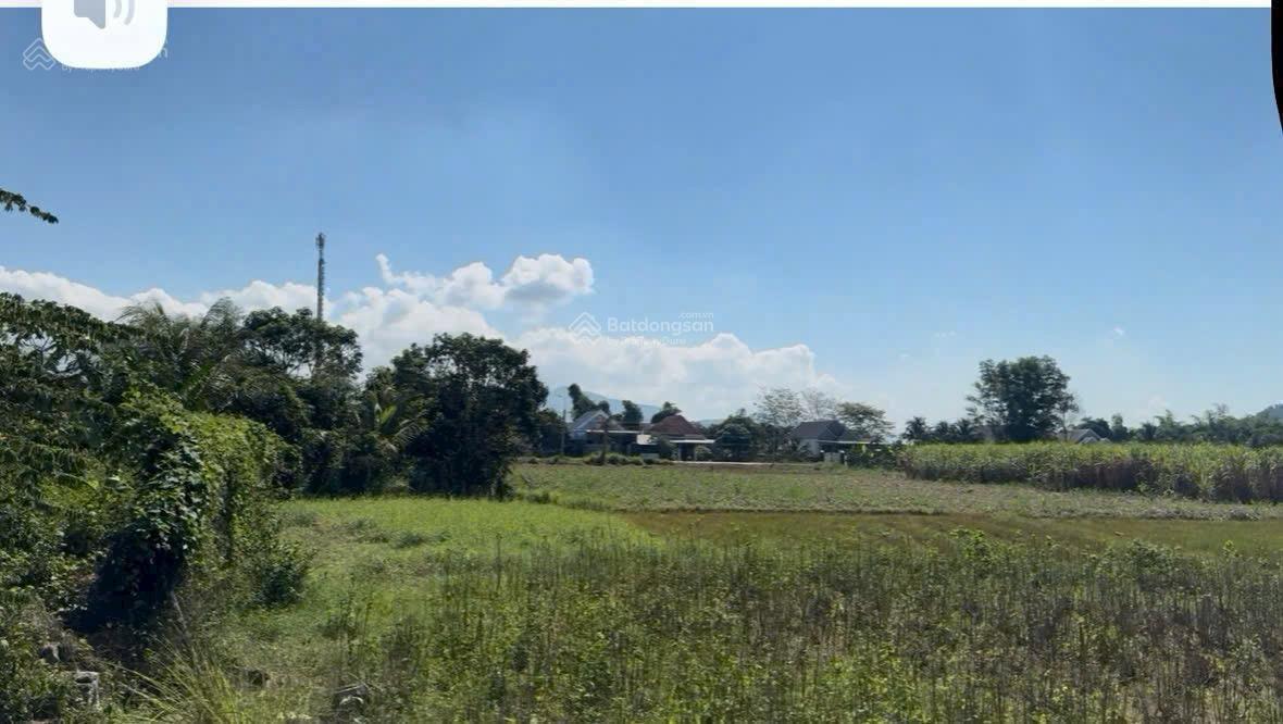 Bán lô đất Diên Thọ làm fram nghỉ dưỡng phù hợp QH thổ đường bê tông sát Tỉnh lộ 2 giá 800 tr 601m2