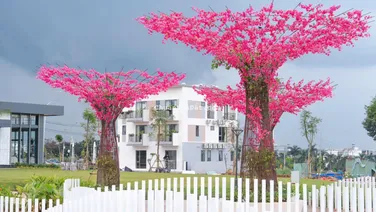 Đất nền, nhà phố Xã Dầu Giây chỉ từ 16 tr/m2, sổ riêng, Bank cho vay 75%, LH: 0966 113 ***