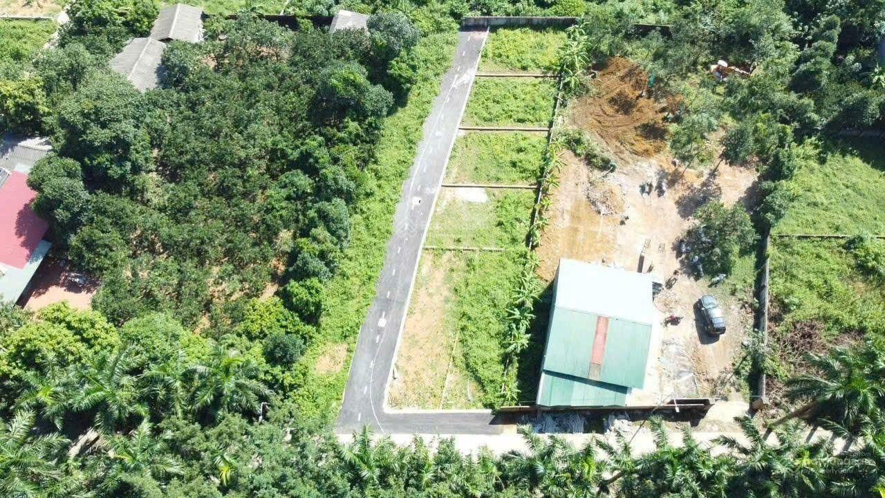 CHÍNH CHỦ BÁN LÔ ĐẤT 100m FULL THỔ CƯ MẶT TIỀN RỘNG 8M TẠI ĐỒNG TRẠNG, CỔ ĐÔNG, SƠN TÂY