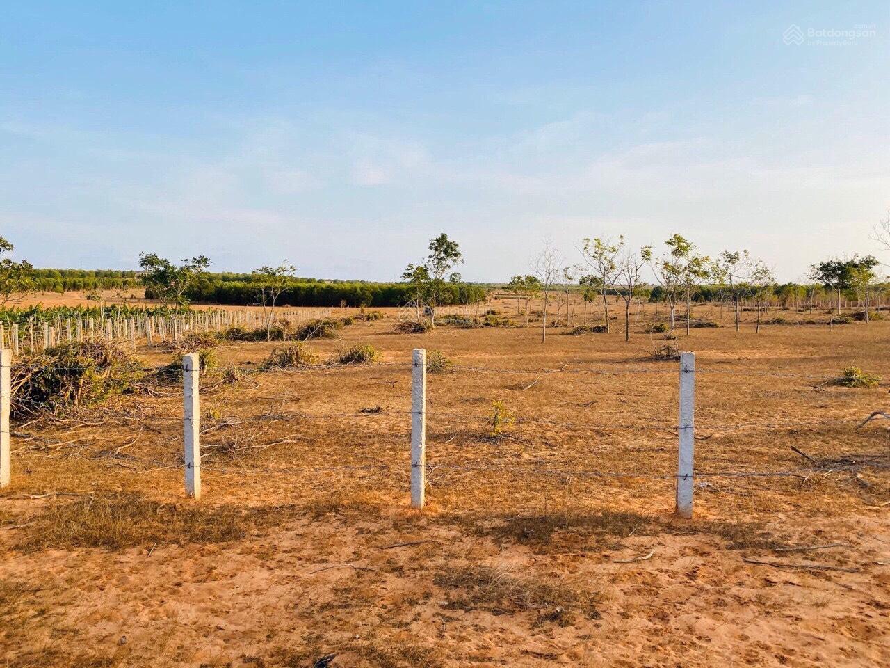 Bán nhanh siêu phẩm 4861m2 Hoà thắng, mặt tiền đường 68m - Sổ riêng giá 480tr