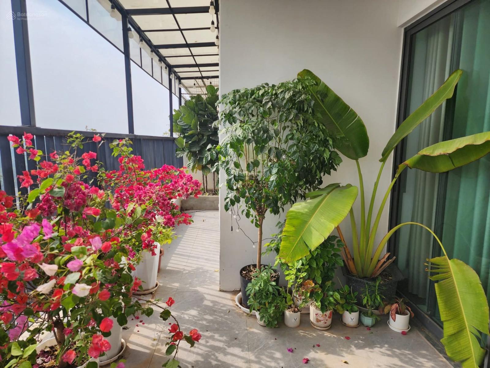 Bán chung cư sân vườn tòa The One, Gamuda Gardens, Hoàng Mai, Hà Nội (2pn - 2vs)