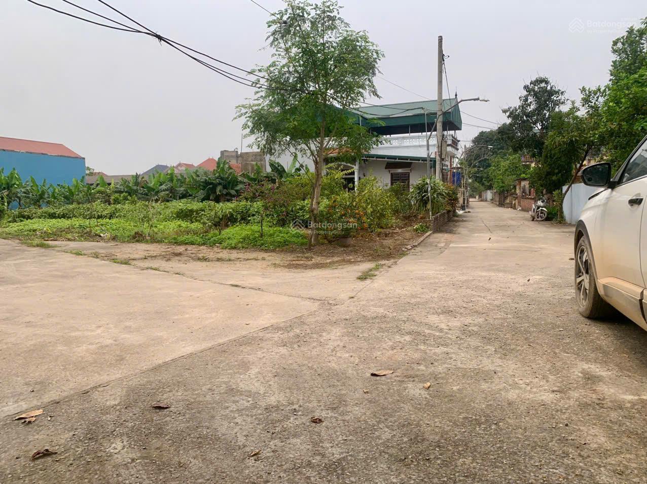 Cơ hội duy nhất sở hữu lô đất 91m² tại xã Việt Yên (Yên Mỹ cũ), Hưng Yên