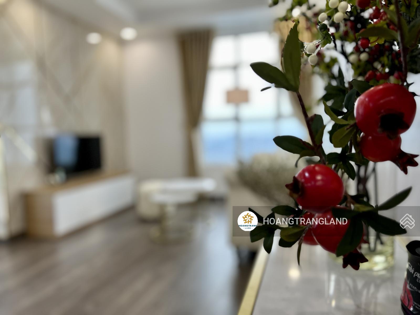 Quản lý cho thuê 100% căn hộ Hoàng Anh Thanh Bình, Quận 7, giá thuê 10-11-12tr/th, Hoàng 0909 107 ***