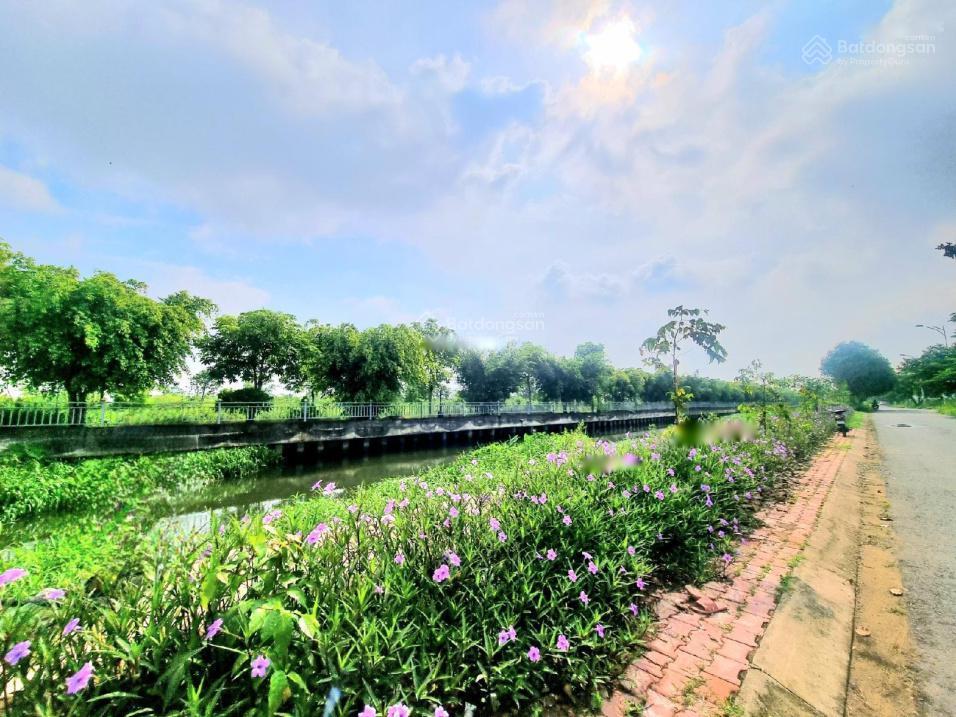 Chủ Bán Giá Tốt Nhanh Lô Đất Sổ Hồng 138m2 đường 10m-Ngay Khu Dân Cư Sát Chợ Đầu Mối Thủ Đức- 5ty95 Chủ Bán Giá Tốt Nhanh Lô Đất Sổ Hồng 138m2 đường 10m-Ngay Khu Dân Cư Sát Chợ Đầu Mối Thủ Đức- 5ty95