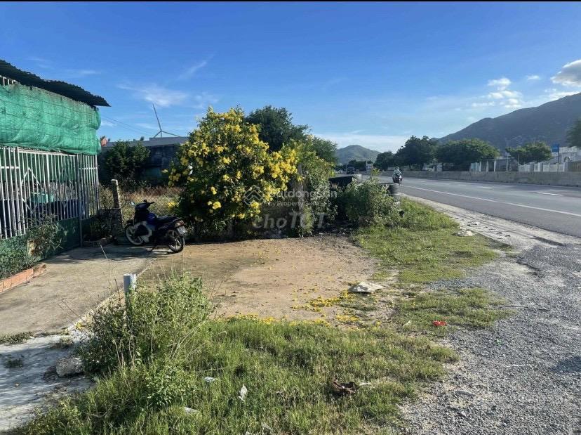 Chính chủ Bán mặt tiền Kinh doanh QL1A .Huyện Thuận Nam. Tỉnh Ninh Thuận DT: 392m2 sổ hồng riêng .