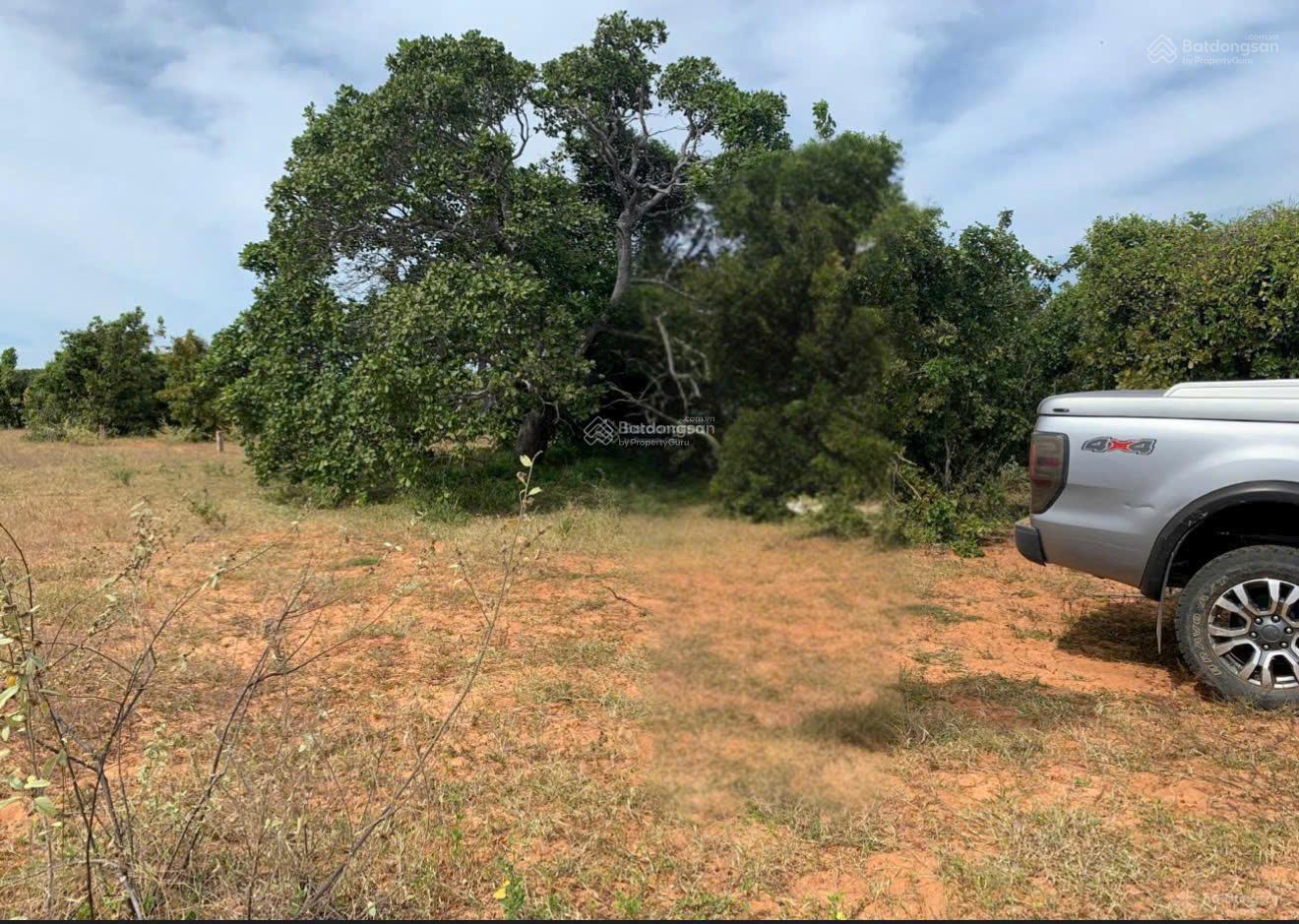 Bán 3818m2 đất gần mặt biển Bình Thuận, gần sông, vị trí đẹp, giá đầu tư đất rộng mở resort