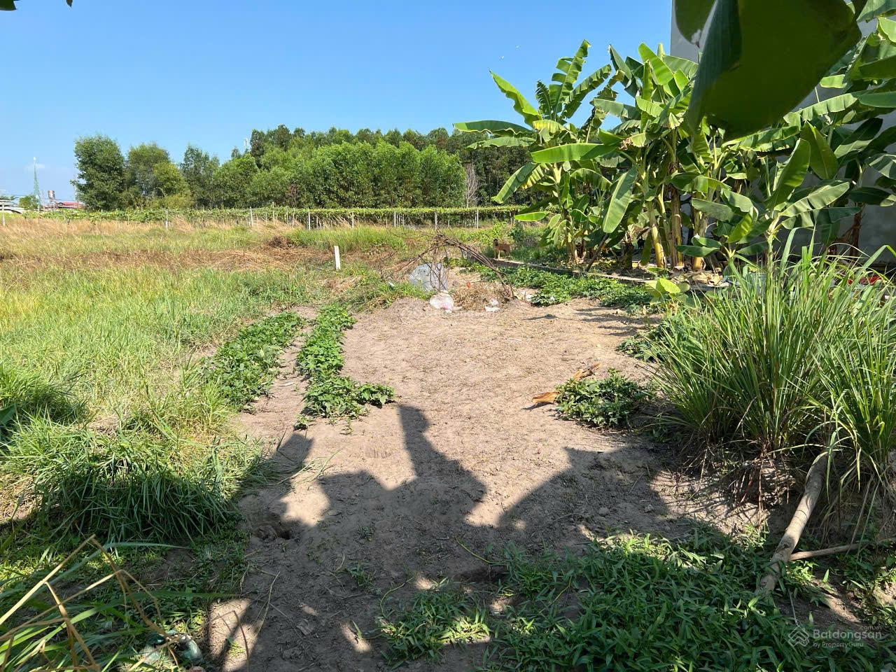 Hạ giá bán rẻ nhà vườn Nhơn Trạch giá rẻ 5 tỷ/839m2, mặt tiền đường betong, SHR chính chủ. gọi ngay Hạ giá bán rẻ nhà vườn Nhơn Trạch giá rẻ 5 tỷ/839m2, mặt tiền đường betong, SHR chính chủ. gọi ngay