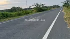 Bán 3500m2 đất mặt tiền Tân Tập, Long Hậu, Cần Giuộc Long An, giá 3tr/m2