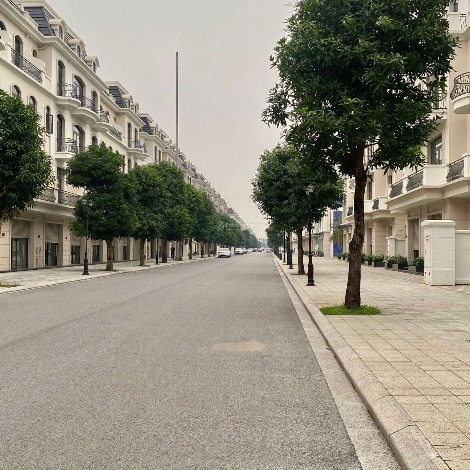 Biệt thự song Lập Kinh Đô OCP2 cắt lỗ sâu hết cỡ - gần quảng trường phố đi bộ đẹp nhất Oceanpark 2