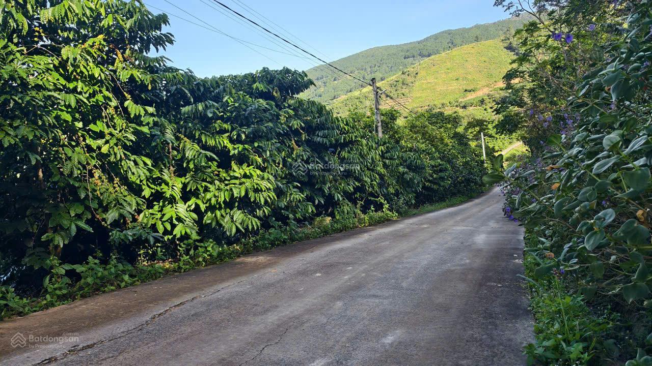 Bán đất tại Nam Ban Lam Hà 1395 m2 sẵn 200m2 thổ cư , giá F0 siêu LỜI